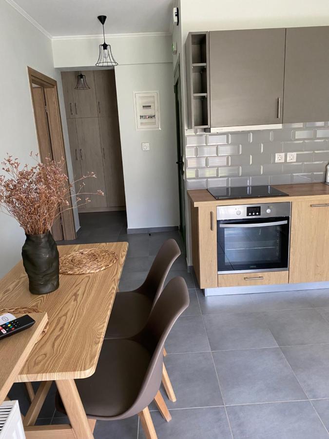 Lefkada Town Apartment Zewnętrze zdjęcie